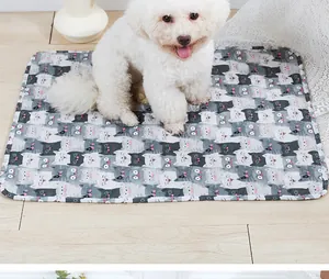 Un lindo perro blanco sentado sobre un tapete lavable de entrenamiento para mascotas