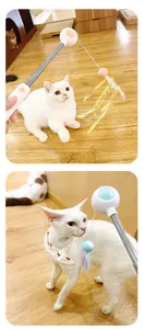 Retractable cat teaser wand with colorful feather and bell, interactive kitten toy for pets.
