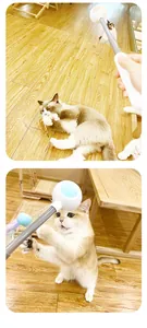 Interactive laser cat teaser toy with feather and ball for playful kitten entertainment.