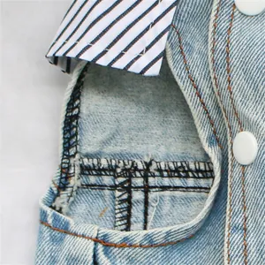 Detailed close-up view of the denim dog vest featuring white buttons and striped lining