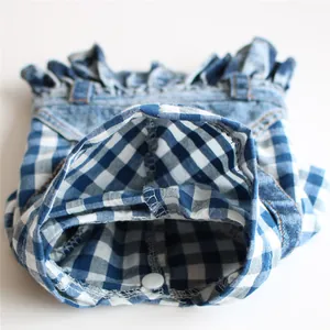 Detailed close-up of blue checkered dog dress lining featuring a white snap button