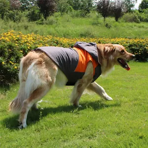 Side view of a golden retriever wearing a waterproof orange and grey outdoor dog jacket
