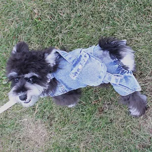 Close-up of a small dog wearing denim overalls with a mini backpack on the grass.