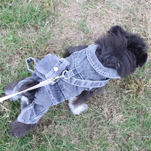 Back view of a dog wearing denim overalls with integrated small backpack and leash ring