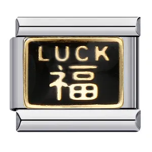 Close-up of Italian charm link featuring 'LUCK' and Chinese 'Fu' gold lettering