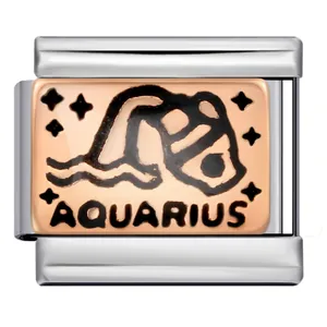 Detailed close-up of Aquarius zodiac stainless steel Italian charm link