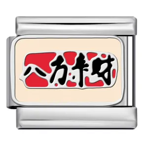 Close-up of Italian charm link featuring traditional Chinese wealth blessing motif