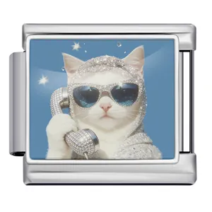 Close-up of cat with rhinestone sunglasses on stainless steel Italian charm link