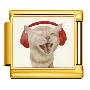 Detailed macro shot of a golden Italian charm link featuring a cat with headphones.