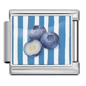 Italian charm modular link with blueberry illustration on blue stripes