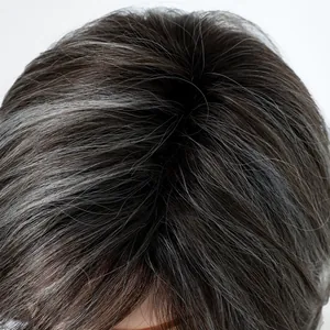 Macro view of salt and pepper wig crown showing realistic hair texture and parting