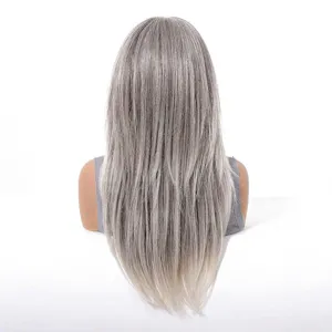 Back view of smooth long straight synthetic wig with grey gradient color on mannequin