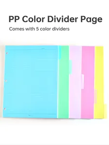 Vista detallada de los separadores de colores de PP de 3 agujeros con líneas y pestañas