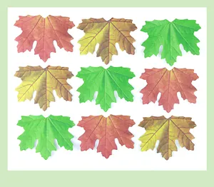 Close-up view of colorful maple leaf shaped decorative sticky notes for wall decoration