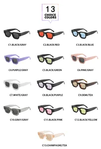Colección de 13 coloridas gafas de sol cuadradas retro para un estilo urbano moderno.