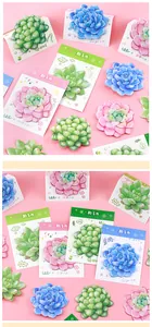 Close-up of cute succulent shaped sticky notes in pink blue and green with backing cards
