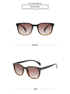 Vorder- und Seitenansicht der Vintage-Sonnenbrille in Schwarz und Schildpatt mit Teegläsern