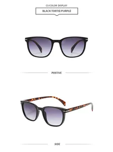 Vorder- und Seitenansicht einer schwarzen Schildpatt-Sonnenbrille mit lila Gläsern
