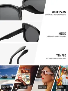 Vue détaillée de lunettes de soleil rétro montrant plaquettes, charnière et scènes.