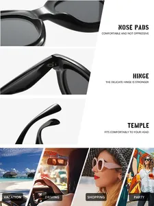 Detailed view of sunglasses features including nose pads, hinges, and temple design.