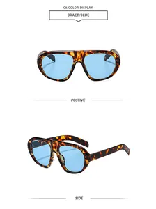 Κλασικά ρετρό γυαλιά ηλίου aviator ταρταρούγα με μπλε φακούς, λεπτομερείς όψεις και σχέδιο