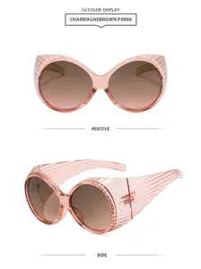 Front and side views of retro oval sunglasses with oversized frames in champagne pink