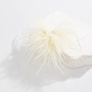 Detail of elegant white feather brooch for French style evening dress decoration