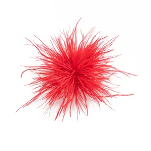 Detailed close-up showing the fine texture of a vibrant red feather brooch accessory