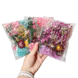 Set di mini bouquet di fiori secchi per decorazioni regalo e artigianato fai-da-te.