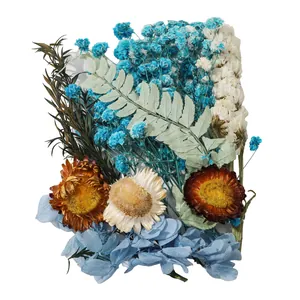 Vista dettagliata di fiori secchi misti con ortensia blu e fiori di paglia per DIY