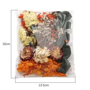 Assortimento di fiori secchi kit fai da te, dimensioni 16x13,5 cm su sfondo bianco
