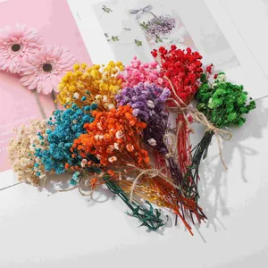 Mini bouquet di fiori secchi colorati per fai da te e decorazione di regali