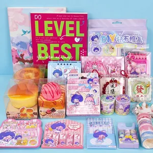 Comprehensive girl-themed DIY stationery gift set featuring stickers and washi tapes