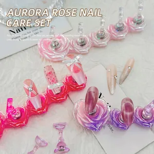 Professionele aurora parelmoer roosvormige magnetische nagelkunst display standaard set