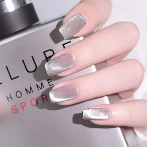 Universal Spar Cat Eye UV Gel Polish Aurora Polar Light Sparkling Ice Translucent Nail Art Gel For Professional Salon