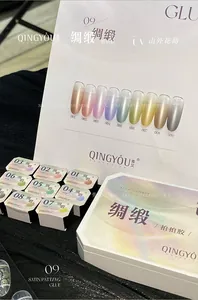 Professional satin aurora patting nail gel set with 9 vibrant gradient colors for DIY art.