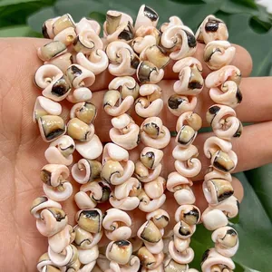 Macro view of natural spiral shell beads for DIY jewelry making and hair accessories