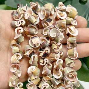Detailed close-up of natural spiral conch shell beads for DIY jewelry making