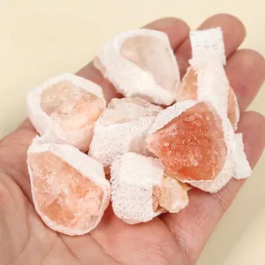 Pietre minerali grezze di sale rosa dell'Himalaya di alta qualità tenute in mano