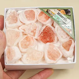 Dettaglio di pietre minerali di sale dell'Himalaya grezze in una scatola regalo