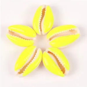 Primo piano di conchiglie naturali giallo brillante per la creazione di gioielli