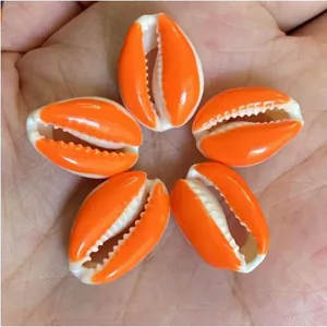 Vista macro dettagliata di cinque ciondoli a conchiglia ciprea arancione per creare gioielli DIY