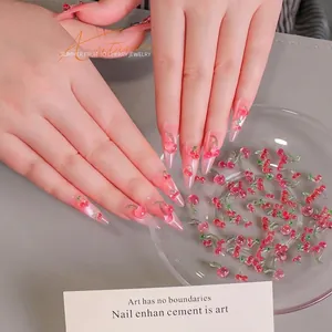 3D transparente rote Kirsch-Nagelanhänger für süße sommerliche Maniküre-Deko