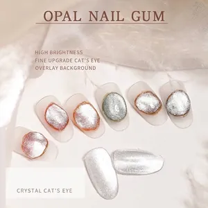 Λαμπερό ασημί κρυστάλλινο βερνίκι νυχιών cat eye με εφέ γκλίτερ υψηλής πυκνότητας