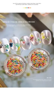 Gedetailleerd overzicht van levendige gemengde droogbloemen voor DIY nail art decoratie