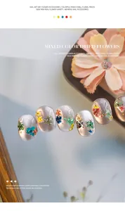 Detailopname van nail art met gemengde droogbloemen op plaknagels met kattenoogeffect.