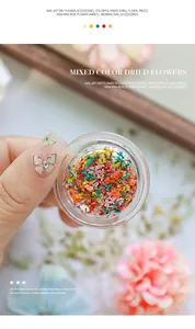 Gedetailleerd macrozicht van kleurrijke gemengde kleine droogbloemen voor nail art in een potje