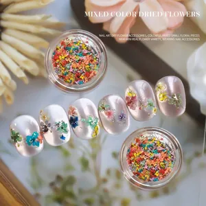 Gekleurde mini echte droogbloemen voor professionele nagelkunst accessoires