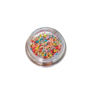 Natuurlijke gemengde gedroogde bloemen voor nail art decoratie in een mini transparante pot