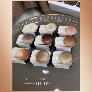 Professionele 9-kleuren caramel cacao nagelgel set voor UV LED uitharding en verloop ontwerpen